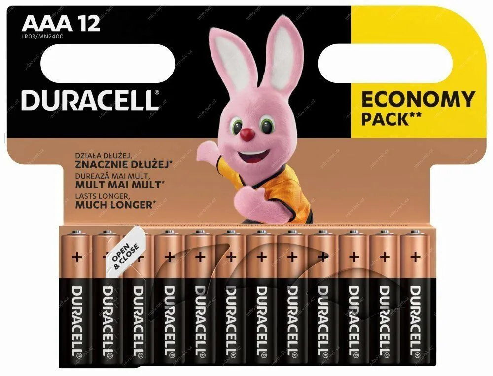 Duracell Duracell Basic AAA (LR03) 2400 null